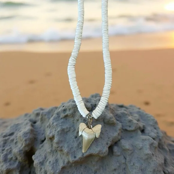 Shark Tooth Necklace - Picture 1 of 2